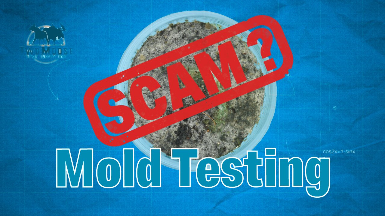 Is Mold Testing a Scam? — Two Moose Home Inspections