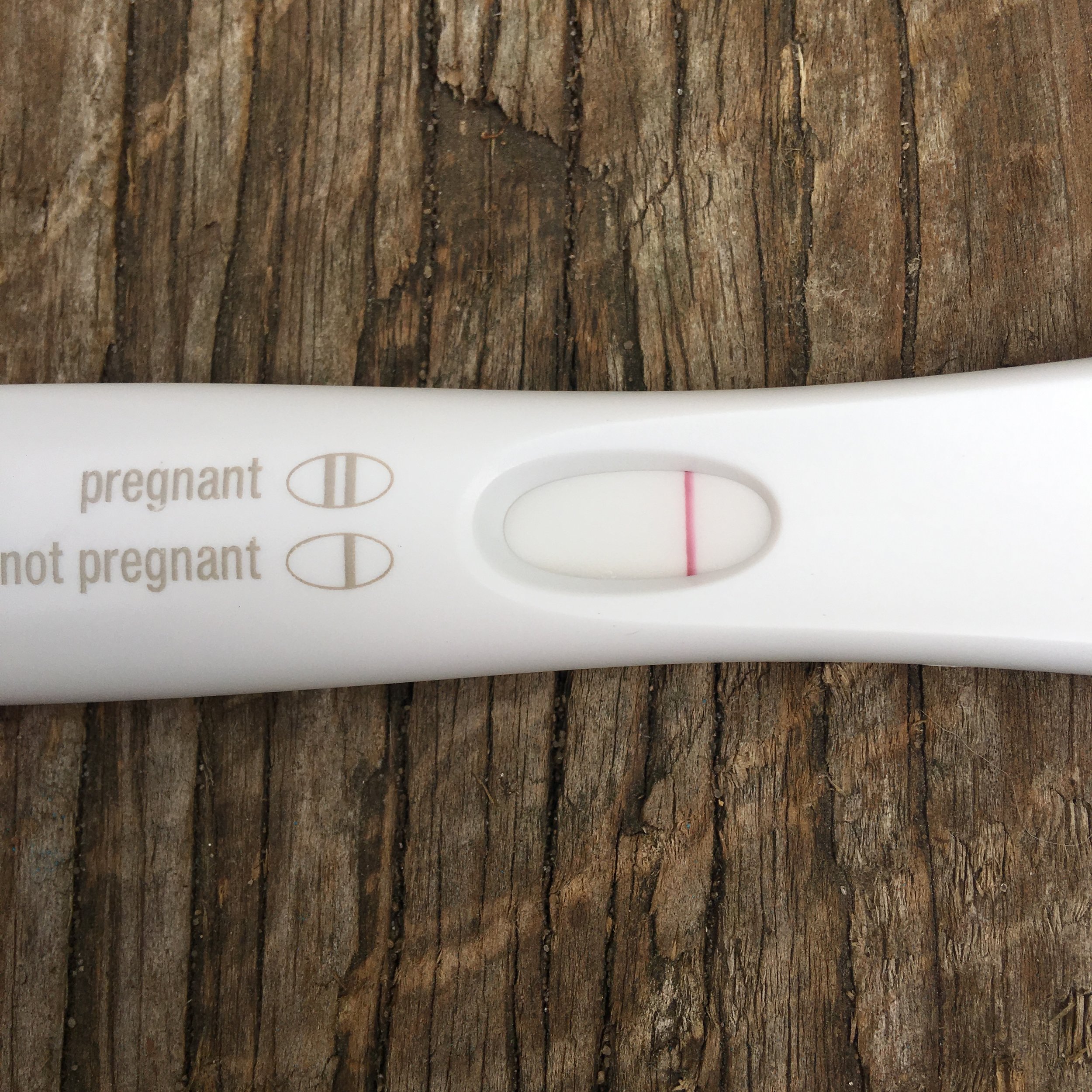 Negative Pregnancy Test Trying to Conceive TTC