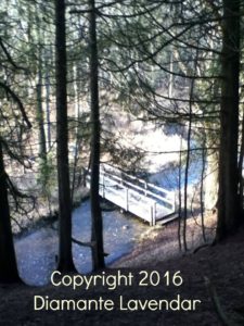 view-of-bridge-through-forest-trees-pic-with-copyright-on-it