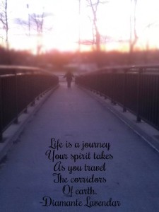 Life Is A Journey by Diamante Lavendar