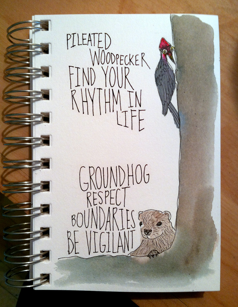 woodpecker-groundhog