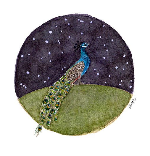 ss-peacock