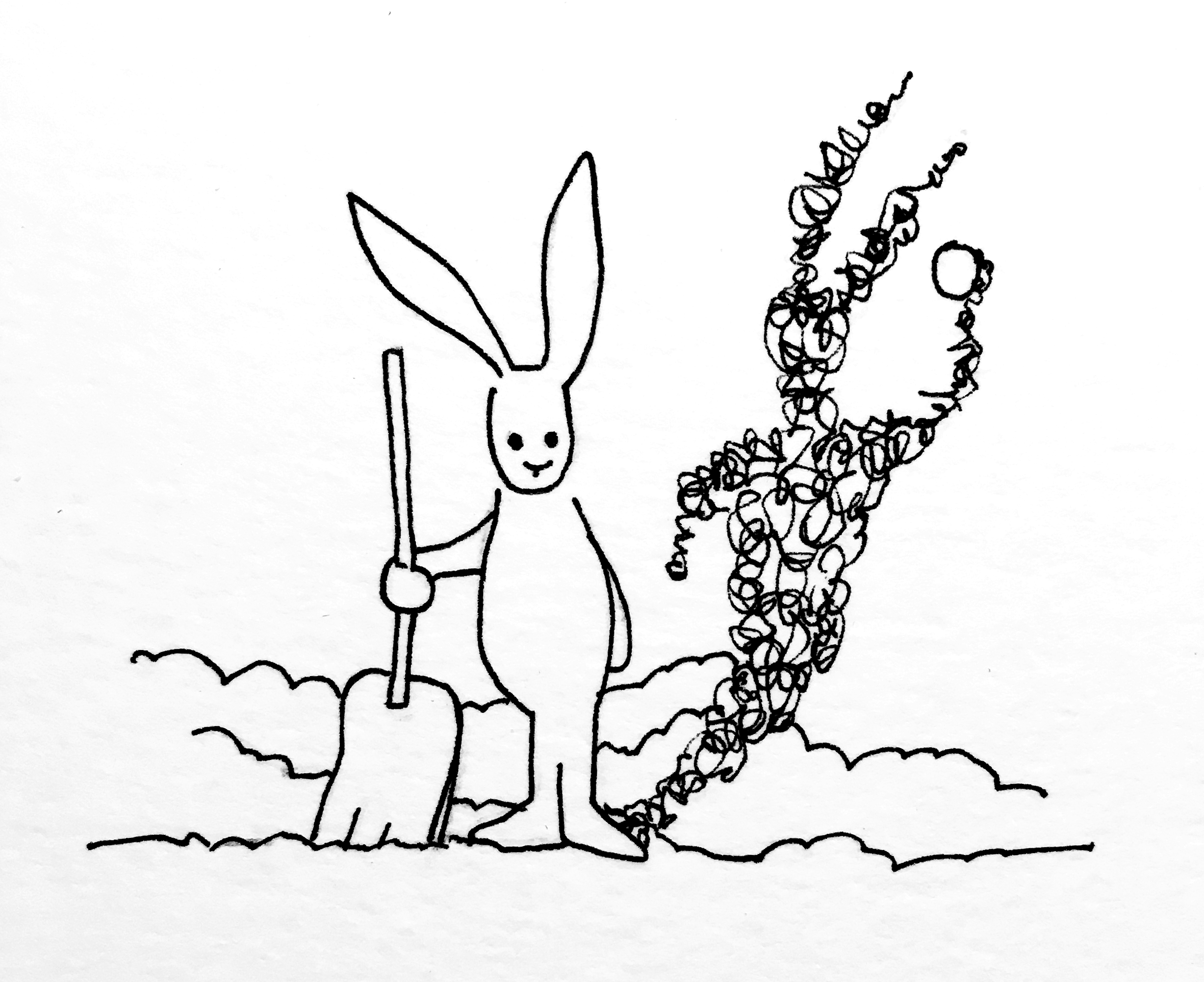 snow-bunny