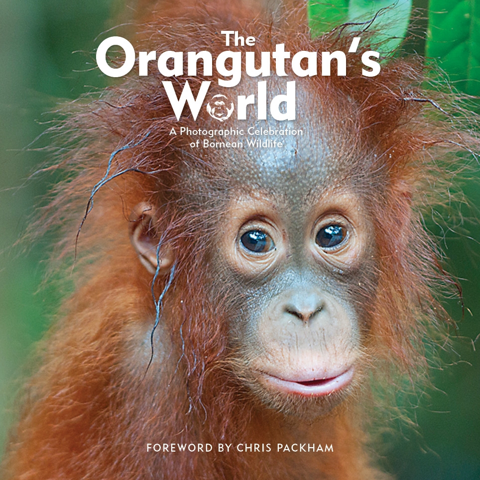 The Orangutan's World - available for purchase
