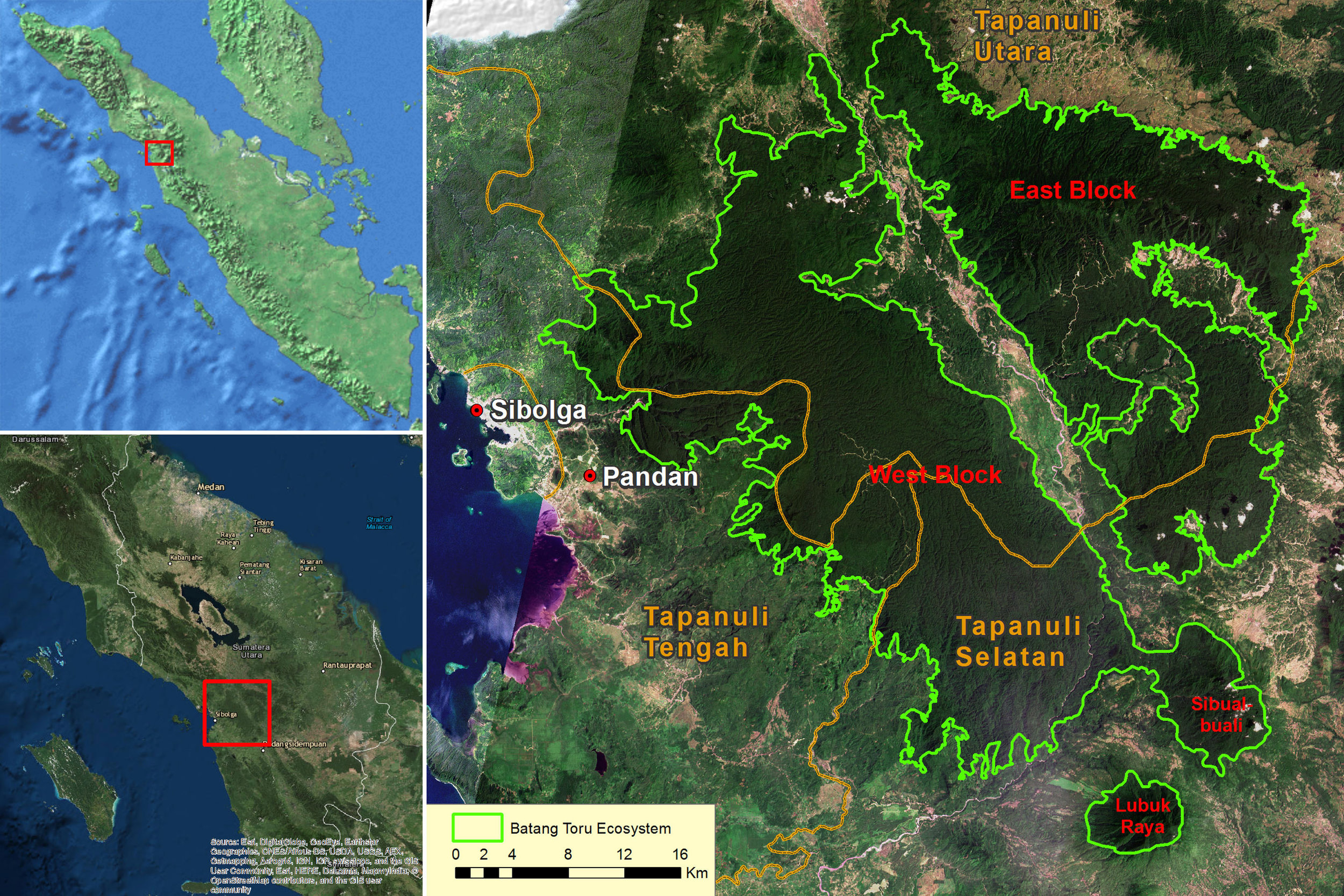 Map of Batang Toru Ecosystem, fragmented forest sections shown in orange.