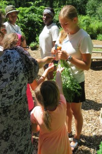 Emily Ripley cuts carrot for campers