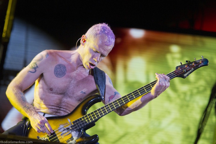 red hot chili peppers - flea