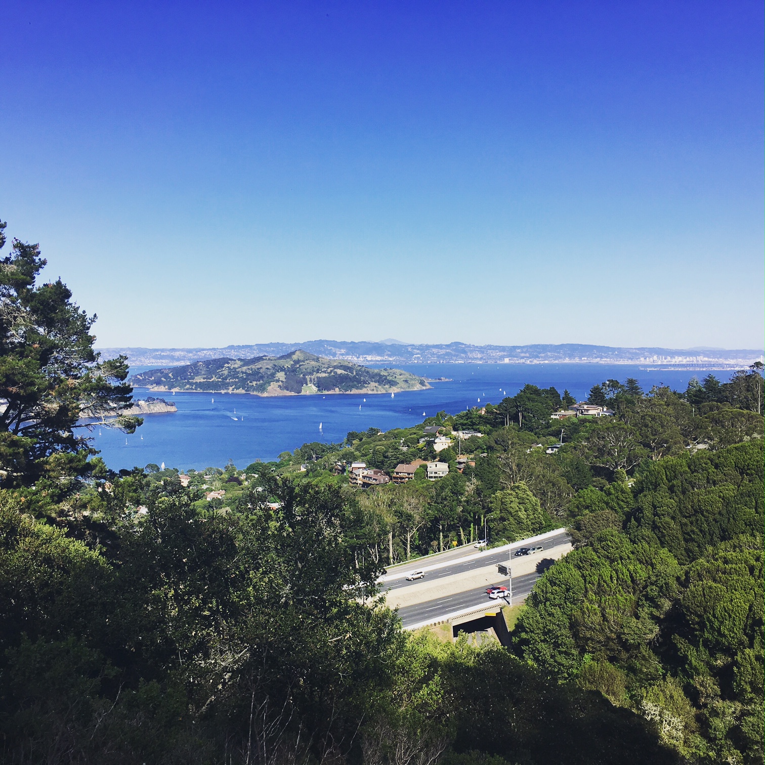 best bay area hikes