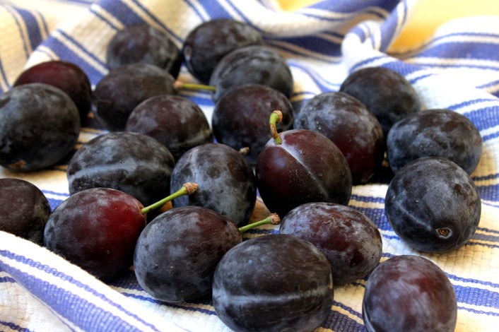 italian prune plums
