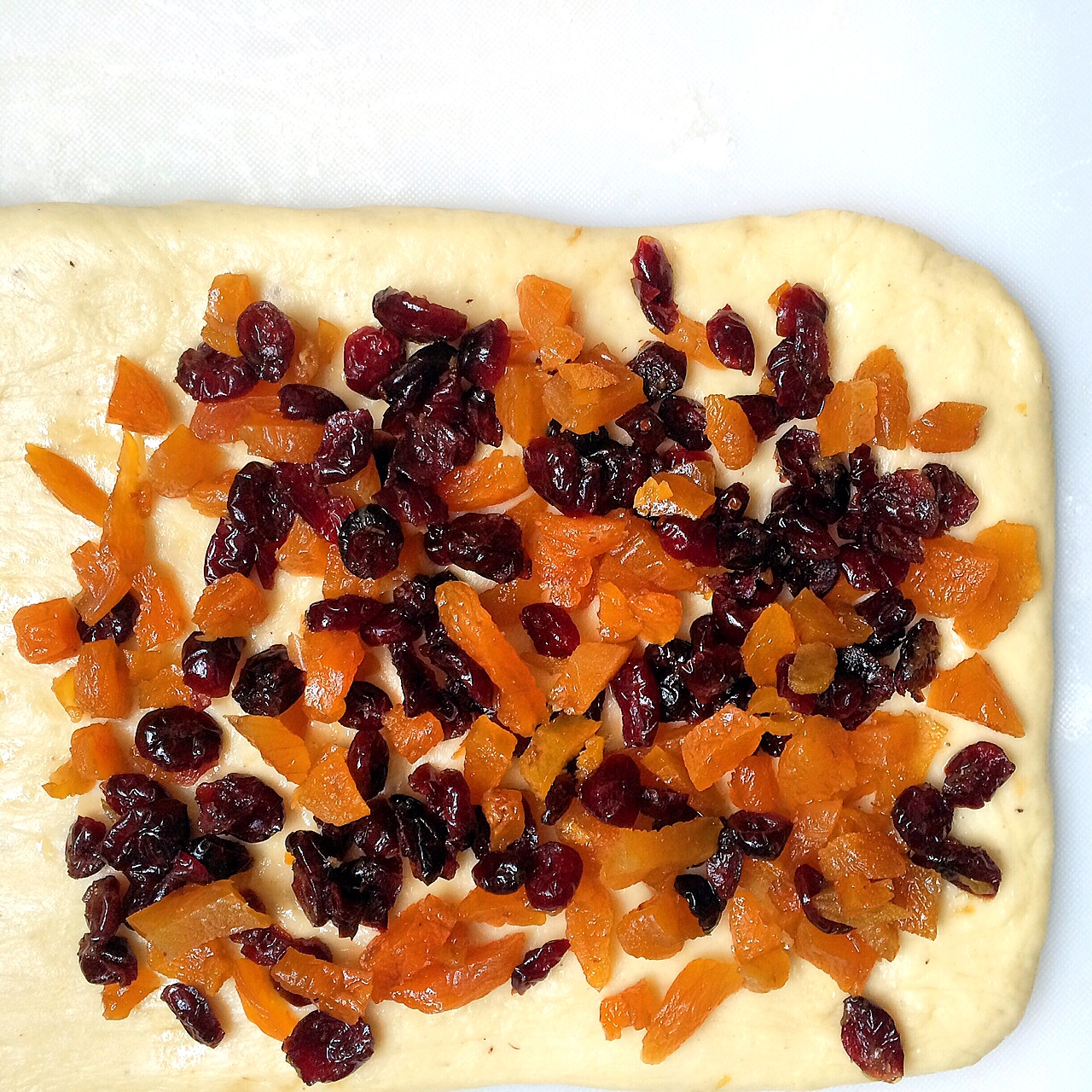 Cranberry and Apricot Stollen — Shauna Sever