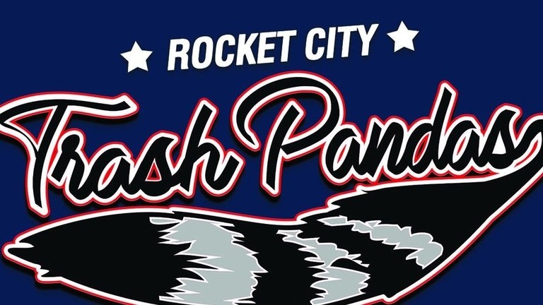 rocket city trash panda jersey
