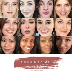 Gingerbread_LipSense