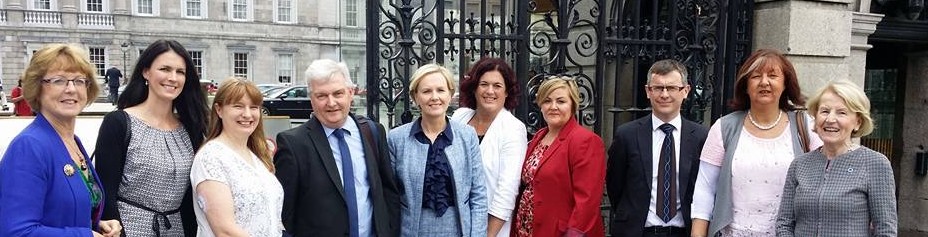 Leinster House Diabetes Delegation