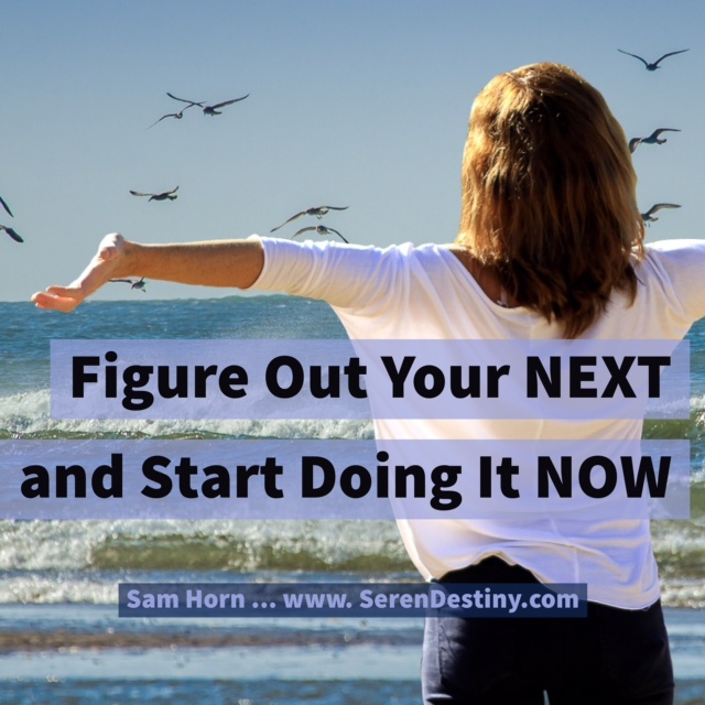 what is your next - do now