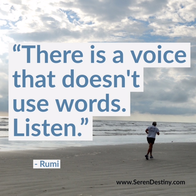 there is a voice - rumi