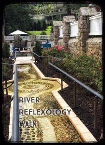 reflexology text