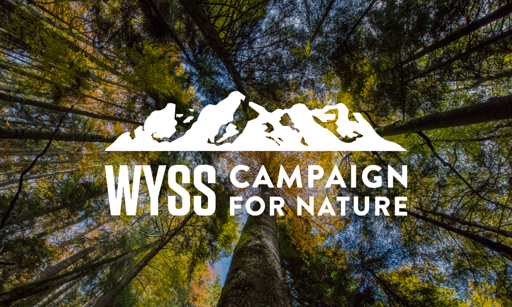 The Campaign for Nature–Get To Know It!