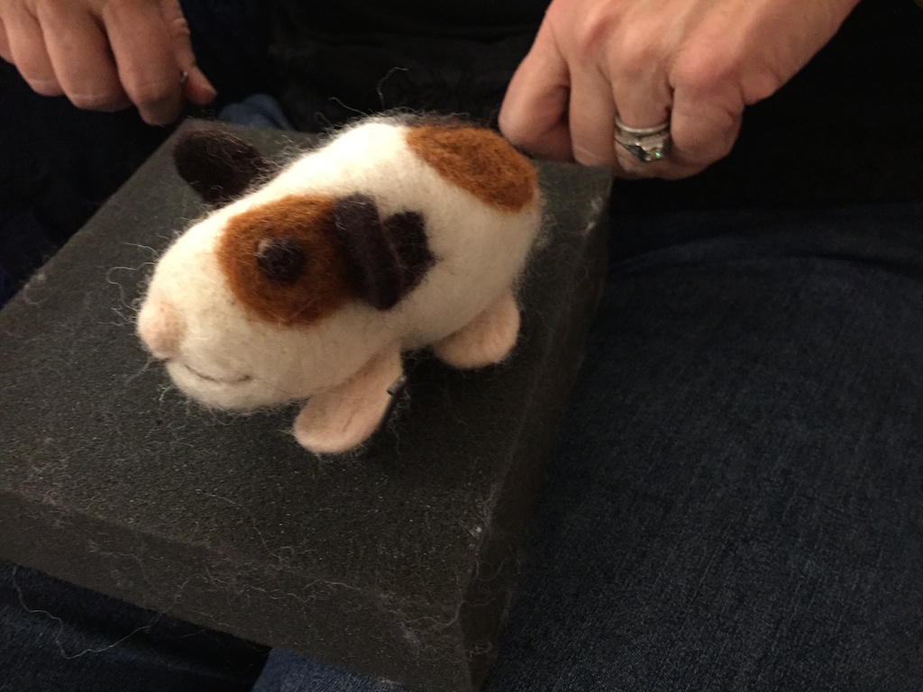 Joy-guinea pig
