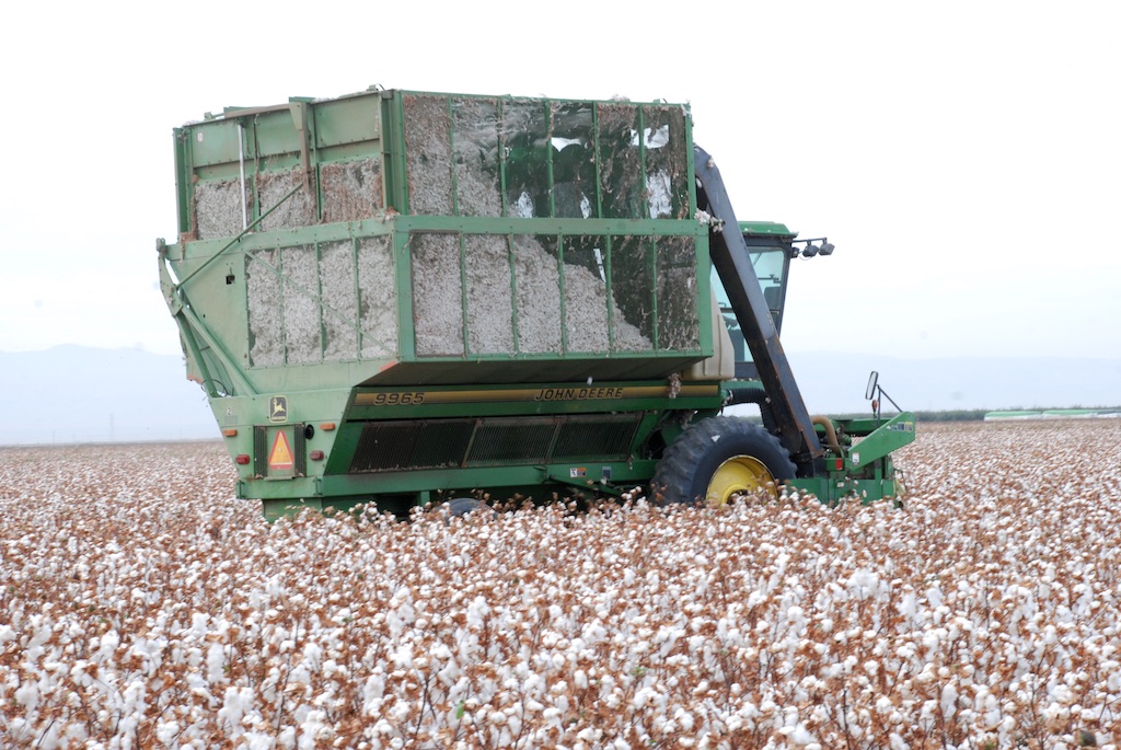 DSC_1906 cotton harvester