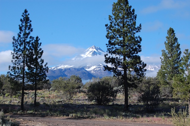 Mt. Shasta from Military Pass Rd.