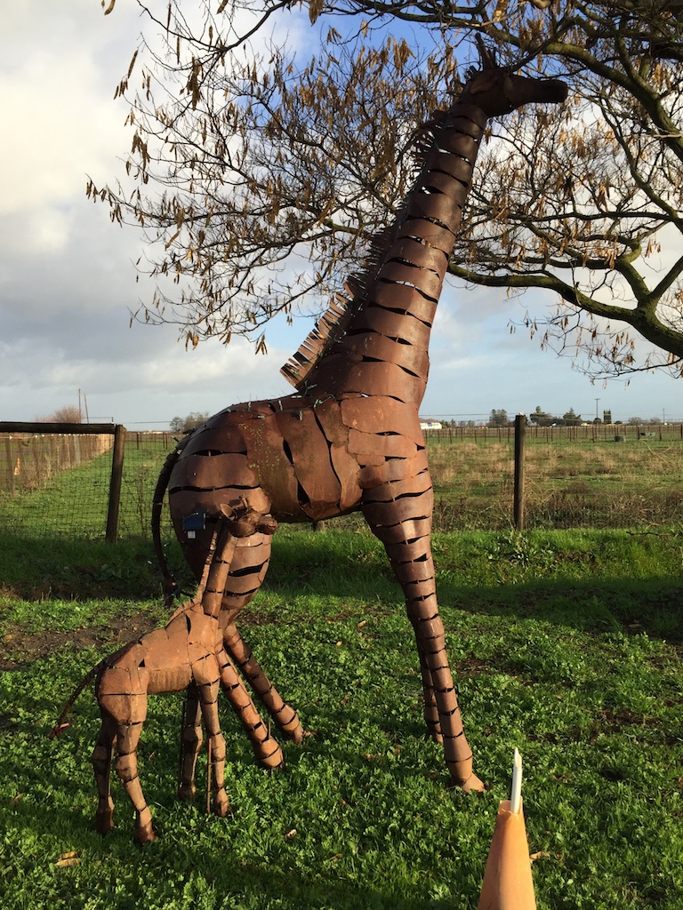 giraffe sculpture