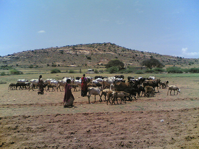A field near Kalyandurgam town during drought times in Anantapur district, Andhra Pradesh, India. Source: Wikimedia Commons