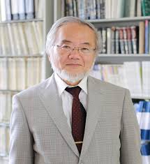 Yoshinori Ohsumi, the winner of the Nobel Prize in Physiology or Medicine