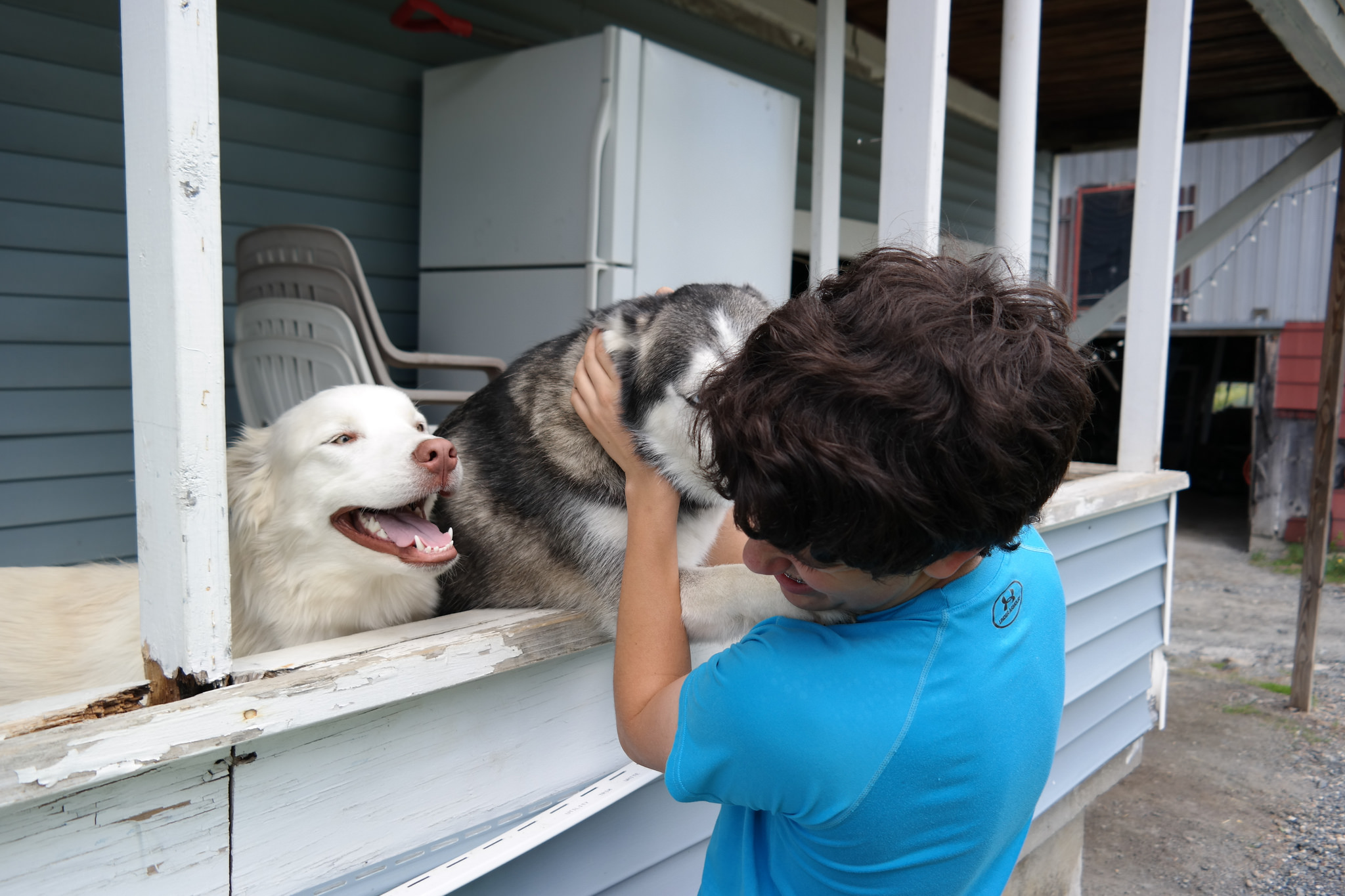 Dylan Loves Huskies