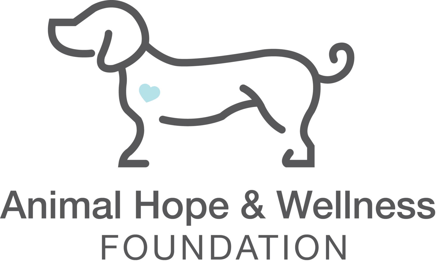 China Shelter Adoption Process + Application — Animal Hope & Wellness