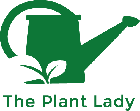Plant Lady Inc