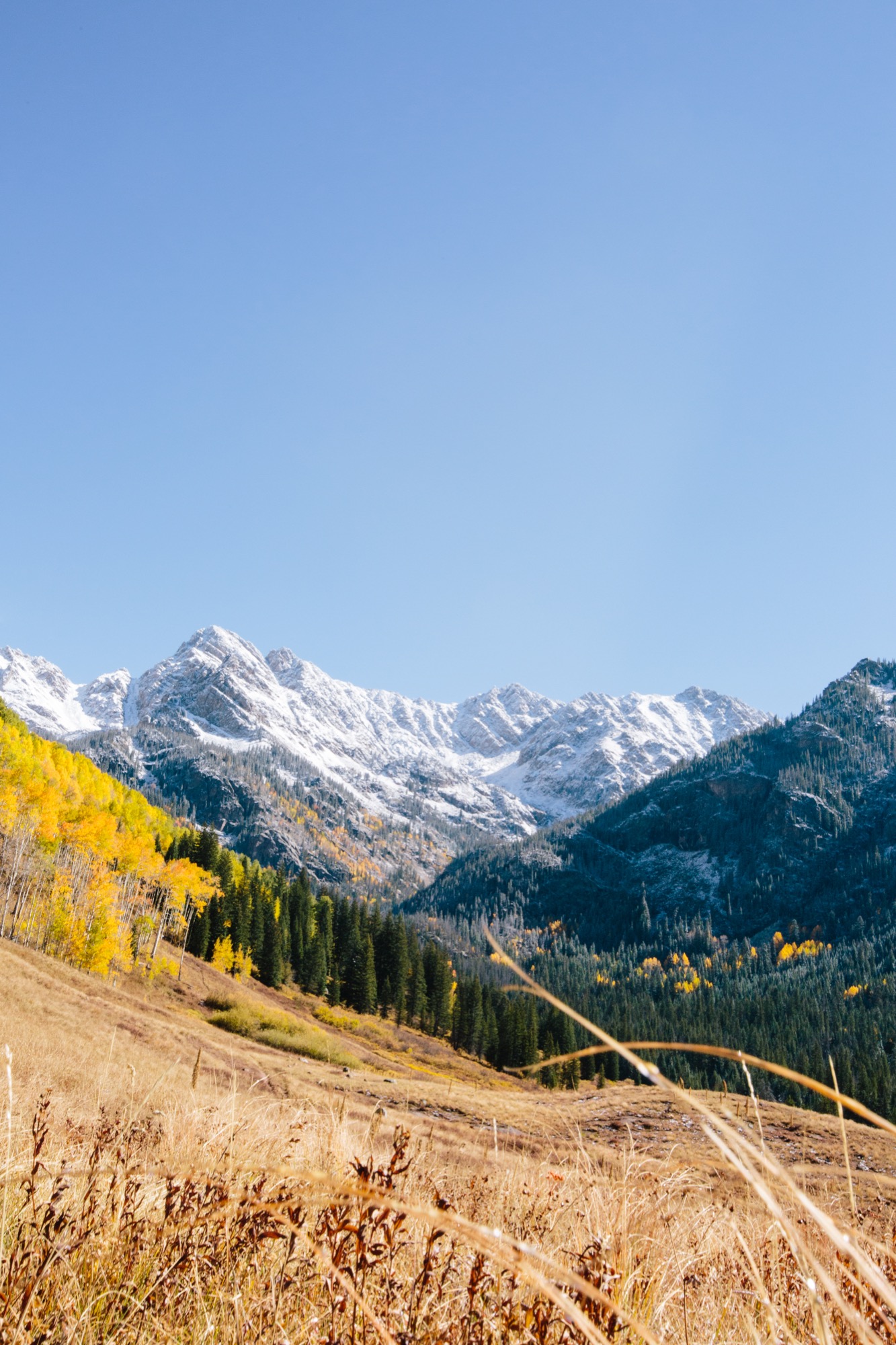 There is no place to experience the four seasons like Colorado. This picture was taken on a warm October hike, just beyond the Piney River Ranch / Photo by Grant Lemons