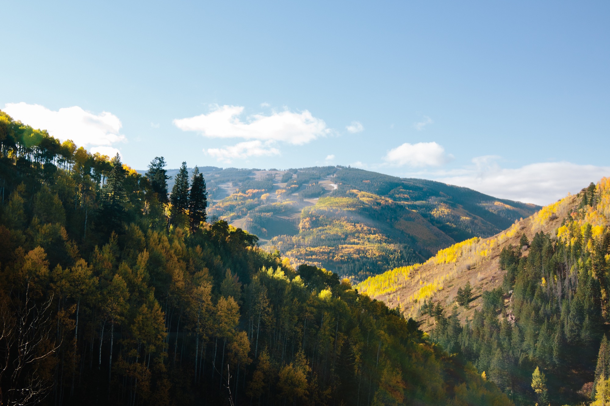 Fall in Colorado: Just outside of Vail on a bumpy country road, my opened up to the green and gold aspens that glimmered in the sunlight / Photo by Grant Lemons