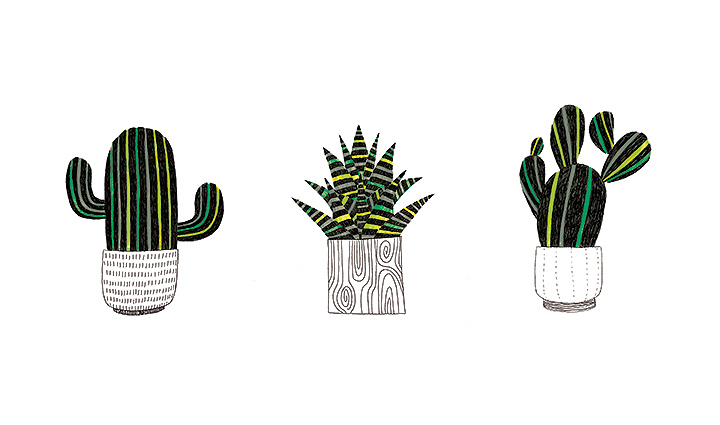 cactus print