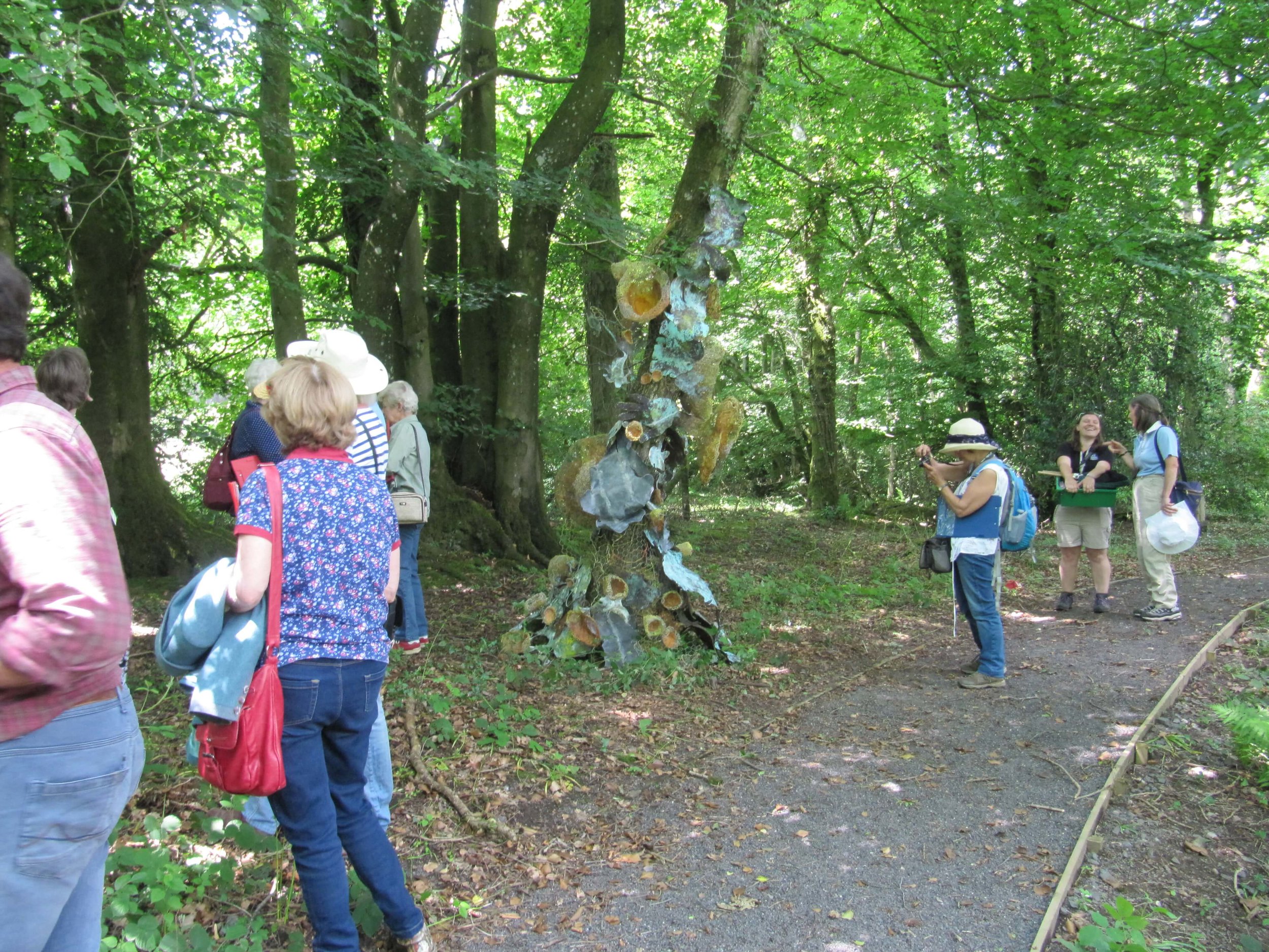 Guided Walk in collaboration with Somerset Wildlife Trust