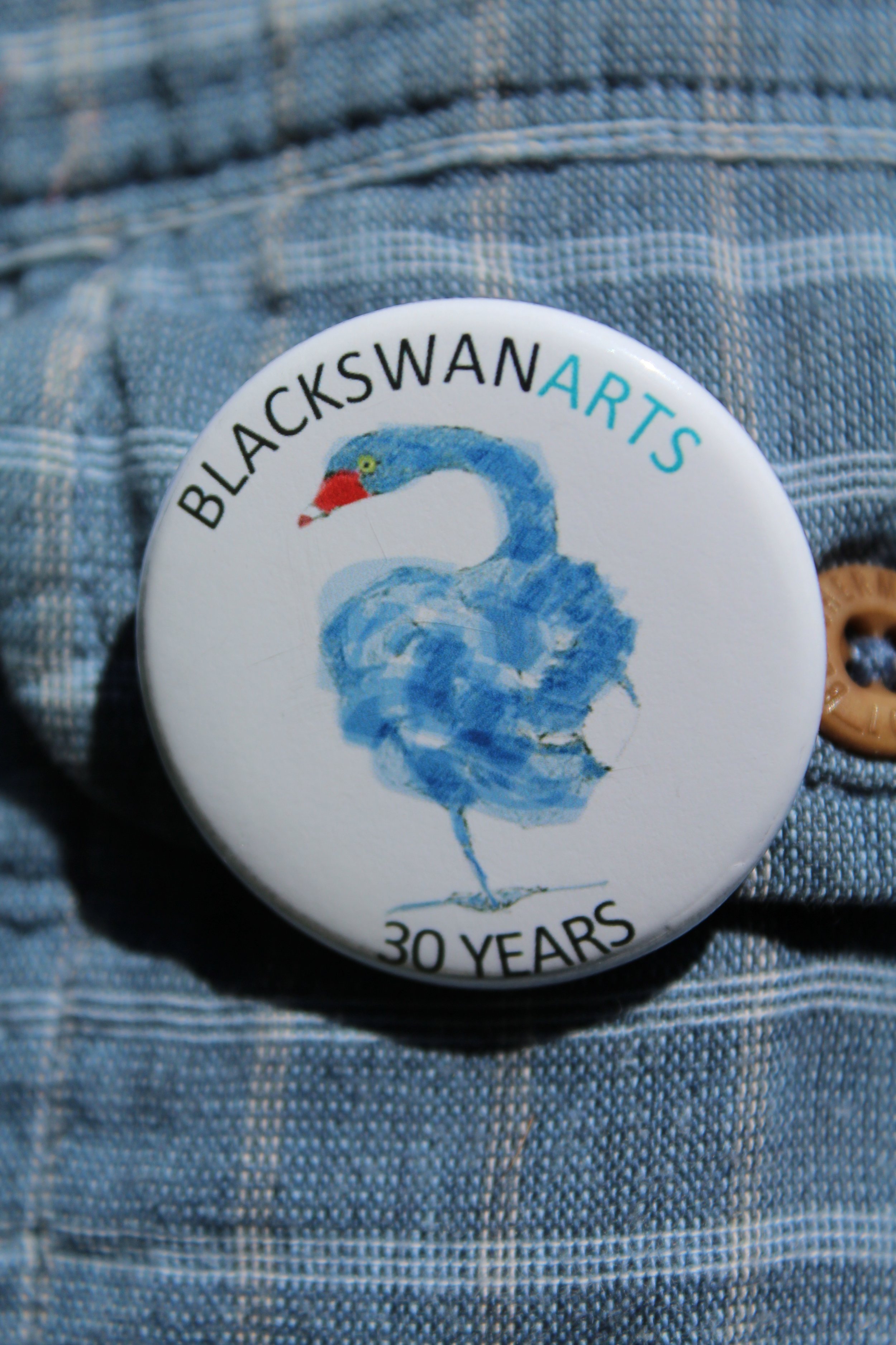Secret Swans badge (illustration by Belinda Brownlee)