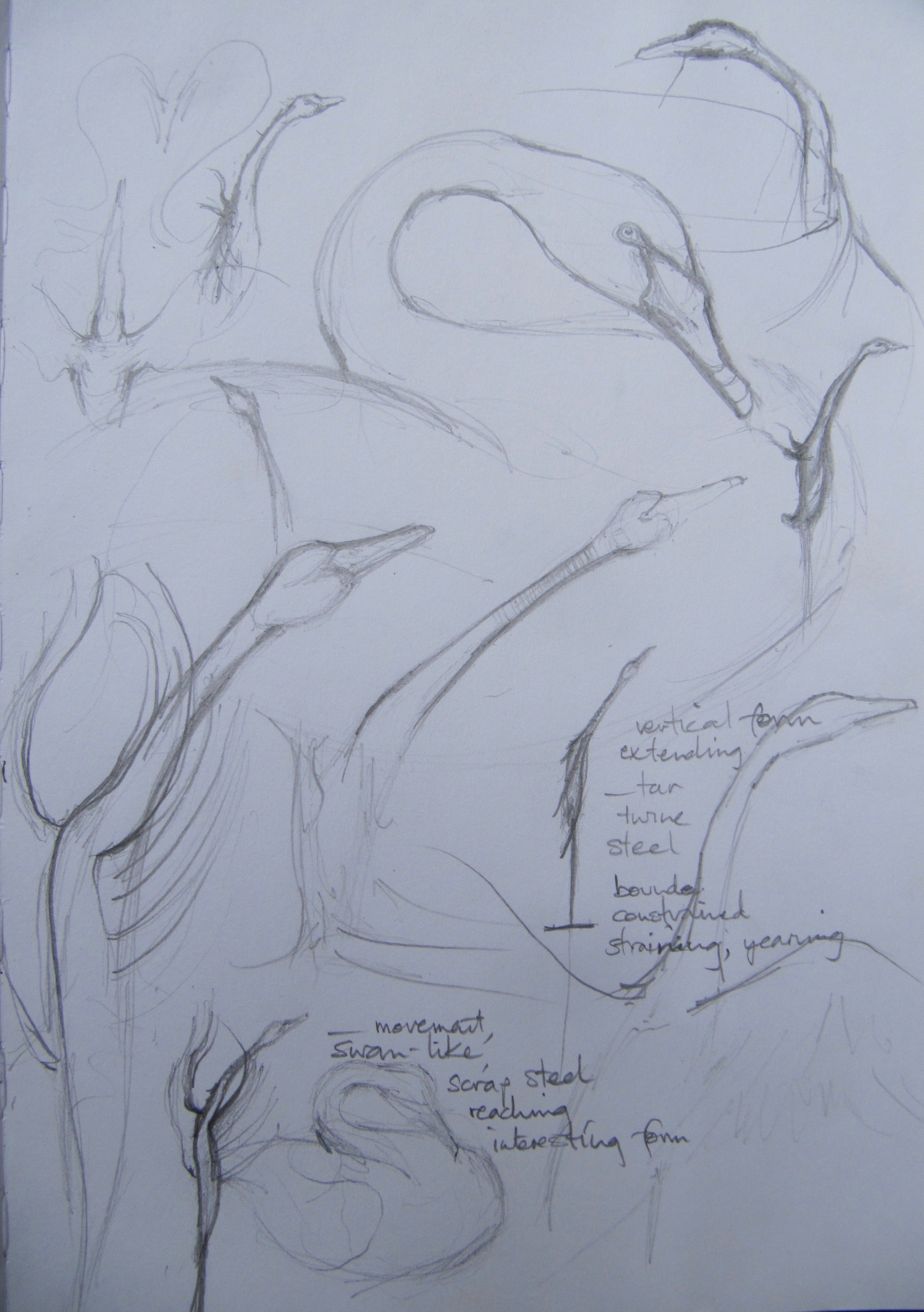 Sketches for my Secret Swans work