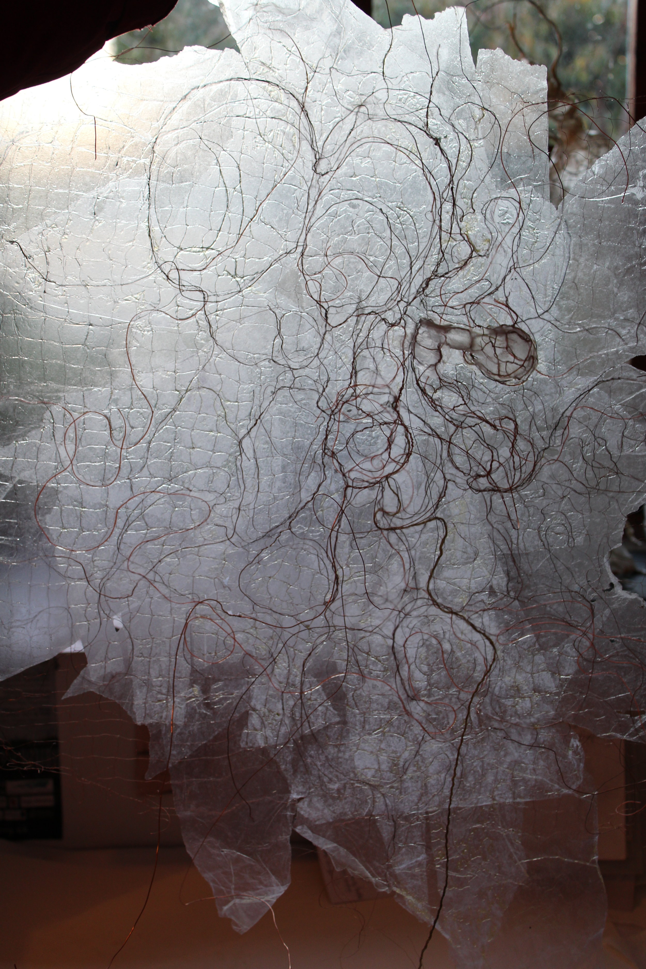 Wire and paper drawing with linseed oil added for transparency and skin-like quality in progress 