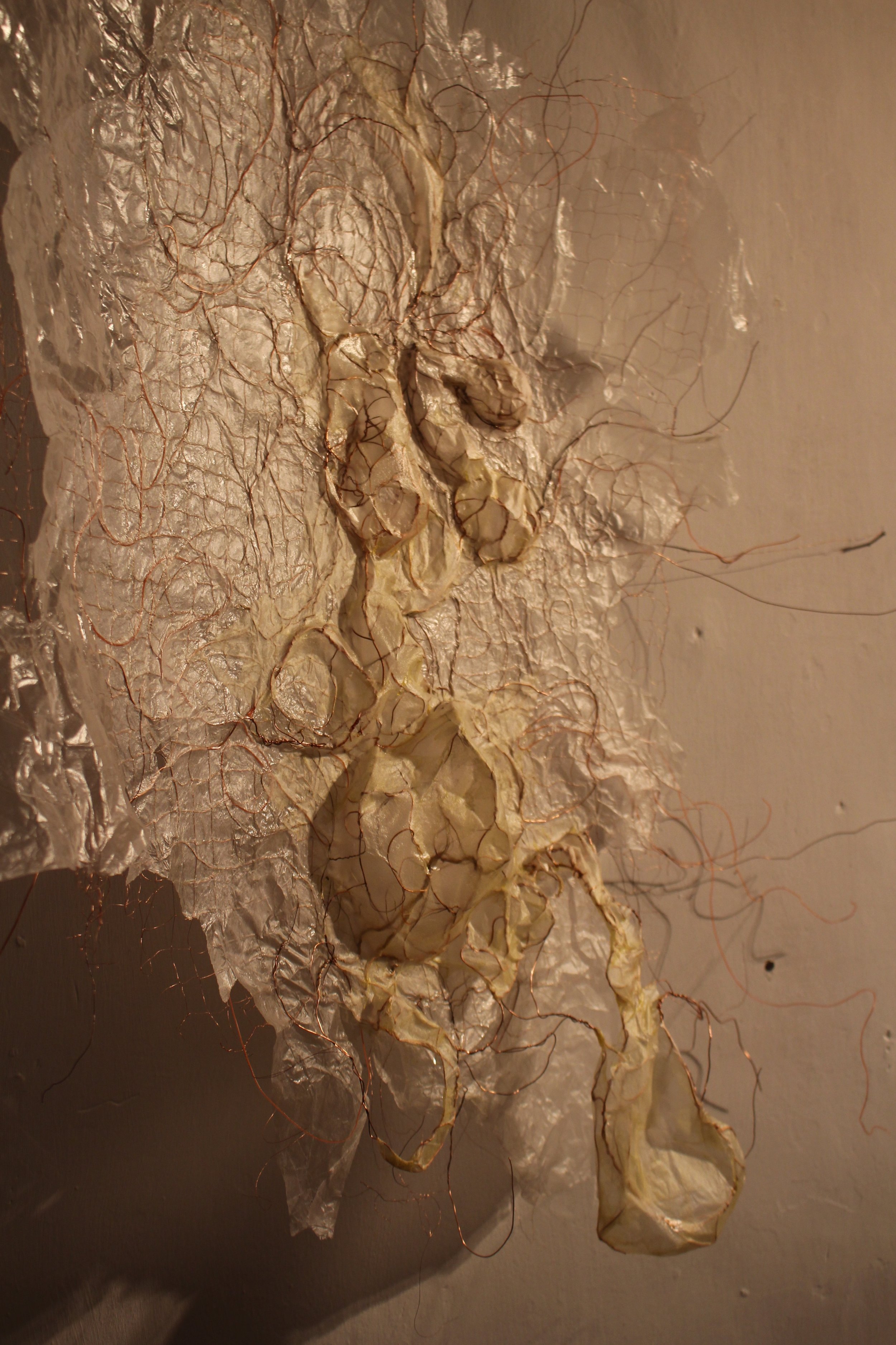 Egg sac inspired drawing/sculpture