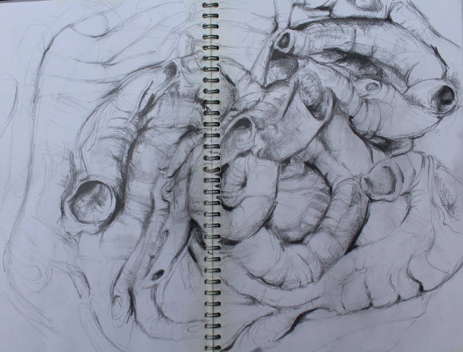 Worm casts, graphite drawing