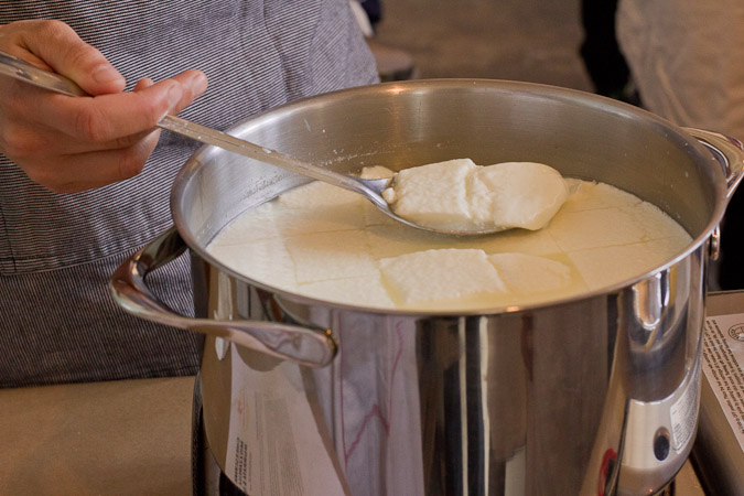 Burrata Comes to You: My New Mobile Cheesemaking Classes — It's Not You  It's Brie