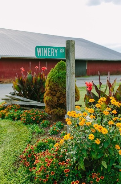 winery road