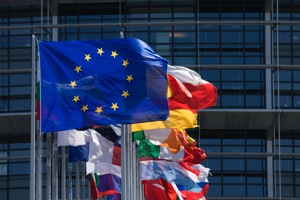 EU Flags photo