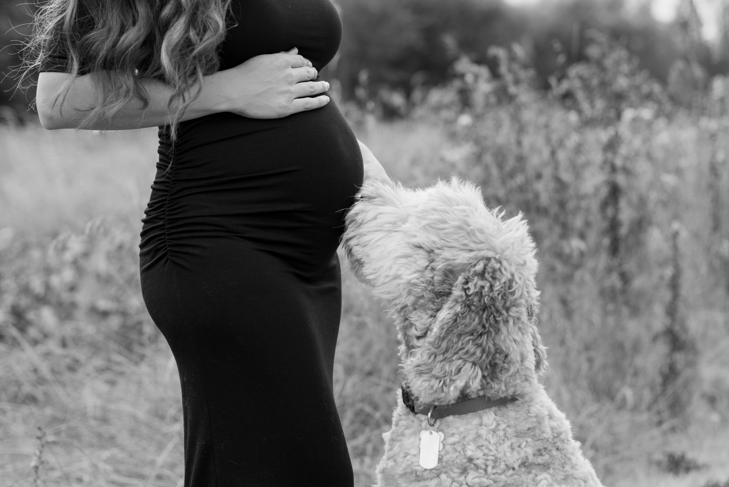PregnancyAnnouncement12-1
