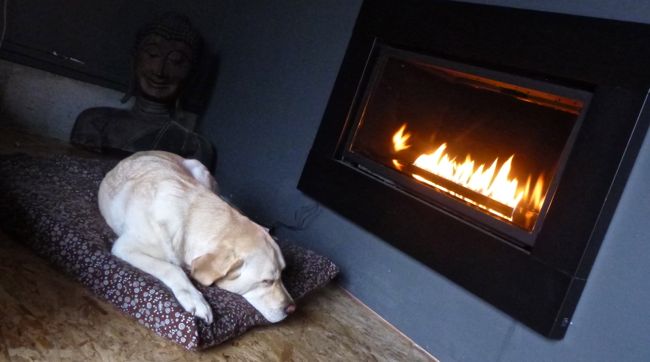 nap by the fire