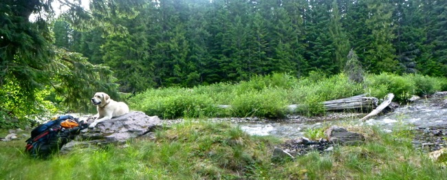 river camp