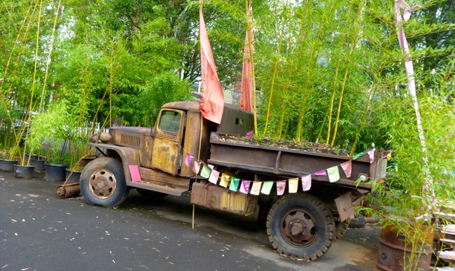 bamboo truck