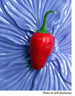 photo hinklehatz pepper