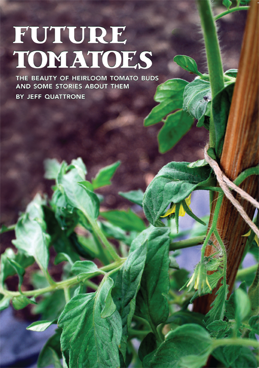 Cover photo Future Tomatoes