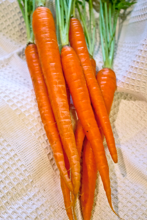 photo of carrots