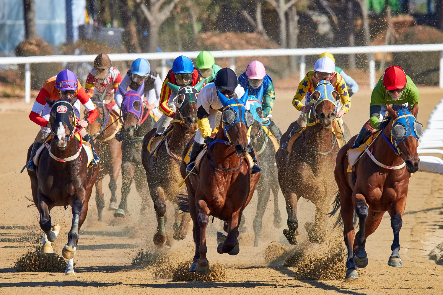 Donations &amp; loss of property rights means Racing Bill should be withdrawn immediately — Pundit